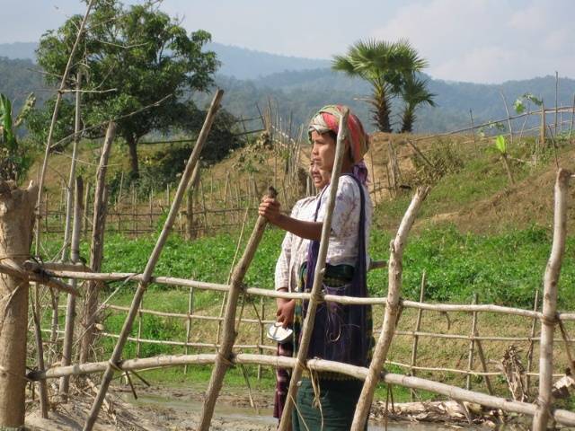 缅甸农村人畜共生真实住房现状