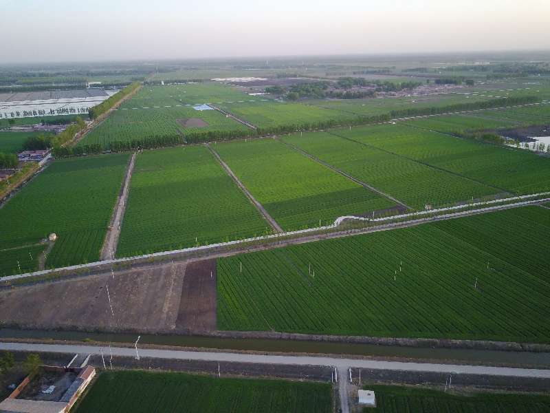 天津圆满完成永久基本农田上图入库落地到户工
