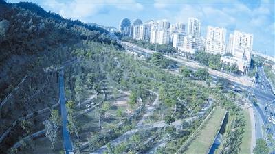 美丽三亚:瓜果飘香百果园 市民共享好生态