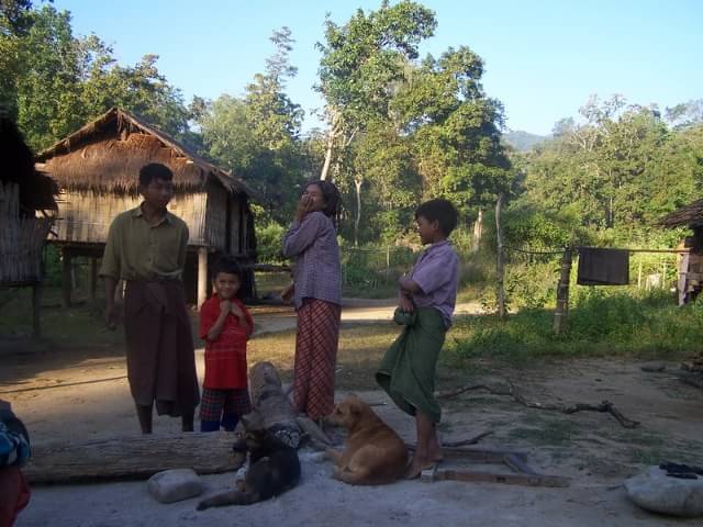 缅甸农村人畜共生真实住房现状