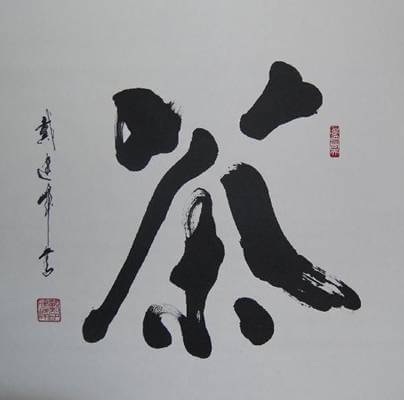 书法巨擘戴建峰:低调奢侈内敛的东方之贵